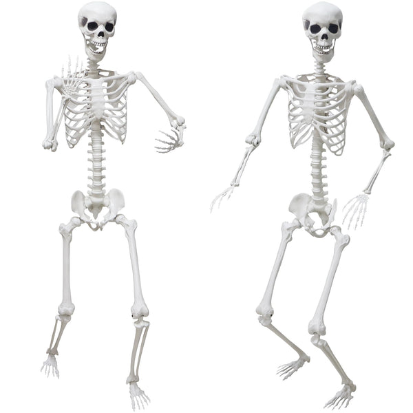 Halloween Skeleton Decorations,5.9Ft Life Size Skeleton 2PCS Posable Skeleton Full Size Plastic Human Skeleton with Movable Joint for Halloween Outdoor Indoor Decor (Grey, 5.9Ft)